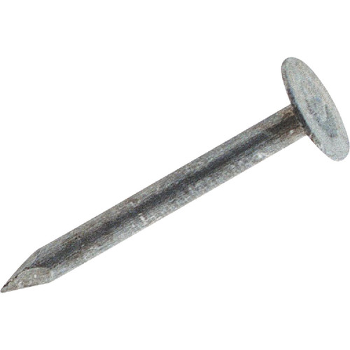 732168 - 3 In. 11 ga Electrogalvanized Roofing Nails (460 Ct., 5 Lb.)