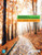 (eBook PDF) Beginning and Intermediate Algebra 7th Edition