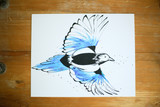Magpie Bird Watercolor Print 20 Buzzing Bird Studios LLC Shop