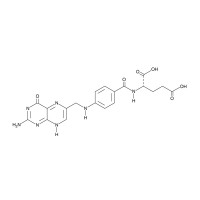 Folic Acid, 10g