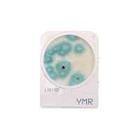 Compact Dry YMR, 240-pk