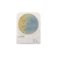 Compact Dry SL HDx, 240-pk