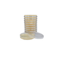 Tryptic Soy Agar (TSA), USP HDx, 15x100mm Plate, 10-pk