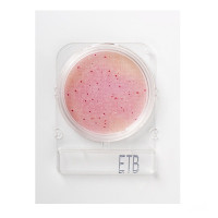 Compact Dry ETB Enterobacteriaceae, 100-pk