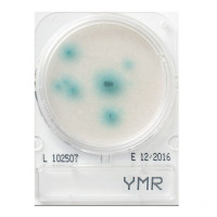Compact Dry YMR Yeast & Mold Rapid, 100-pk