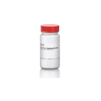 Thiamine Hydrochloride, Reagent Grade, ≥99% (HPLC), 5g