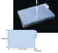AlumaSeal Aluminum Foil Sealing Film for PCR, Non Sterile (Pack of 100)
