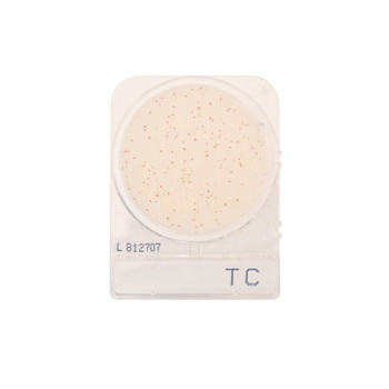 Compact Dry TC HDx, 240-pk