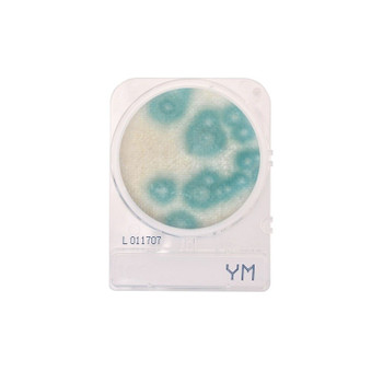 Compact Dry YM HD, 240-pk
