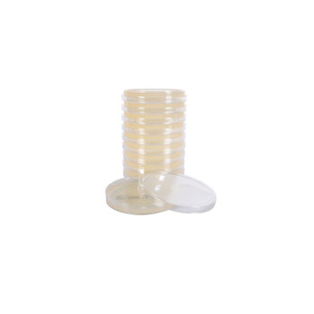 Potato Dextrose Agar, 15x100mm plate, 10-pk