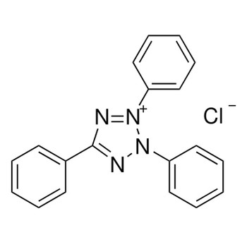 2,3,5-Triphenyltetrazolium chloride, Color Indicator, 10g