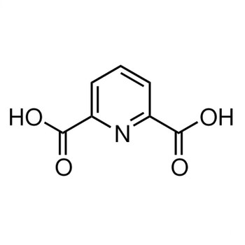 2,6-Pyridinedicarboxylic acid, 99%, 100g