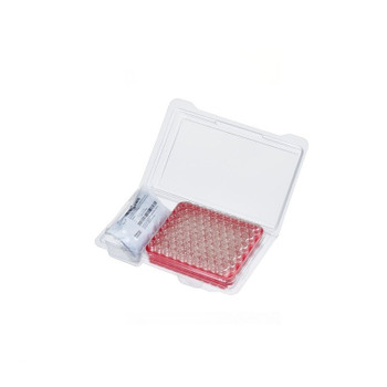 2mL Screw Vial, Si/PTFE Seal, 8mm, 100-pk
