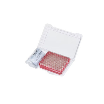 SureSTART Specification Certified Screw Vial and Cap Kits, 2 mL Short Thread Screw Glass SureStop Vial, Level 2 White Silicone/Red PTFE, 100-pk