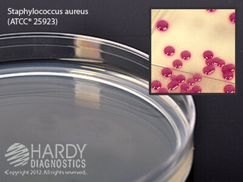 HardyCHROM™ Staphylococcus aureus HDx, 15x100mm plate, 10-pack