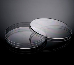 Petri Dish, Sterile, 100mm x 15mm, 500-Case