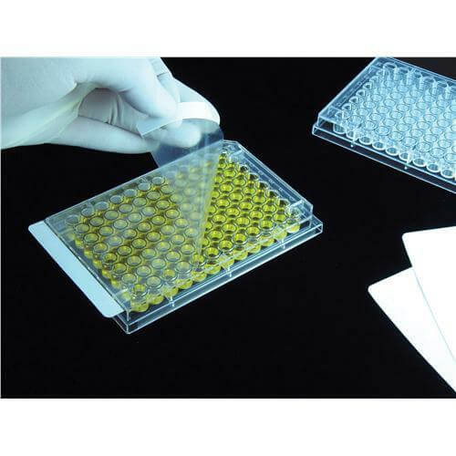 Sterile Sealing Plate Film, 7.94 cm × 14.1 cm, 100-pk