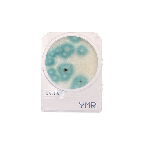 Compact Dry YMR, 240-pk