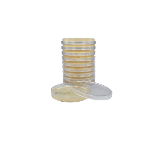 Tryptic Soy Agar (TSA), USP HDx, 15x100mm Plate, 10-pk