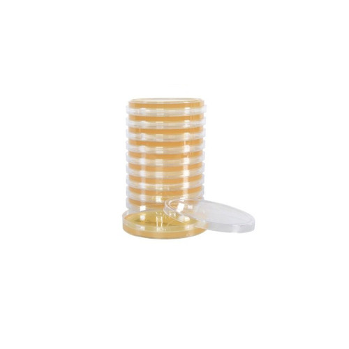 Sabdex Agar, USP HDx, 15x100mm plate, 10-pk