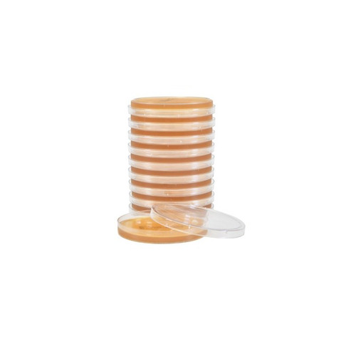 Malt Extract Agar with Chloramphenicol, 15x100mm Plate, 10-pk