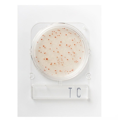 Compact Dry TC Total Count Plate, 100-pk