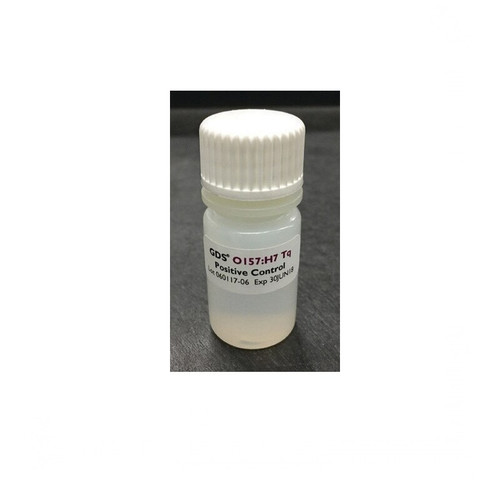 GDS Positive Control for E. coli O157:H7, 5mL