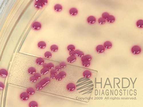 HardyCHROM™ Staphylococcus aureus HDx, 15x100mm plate, 10-pack