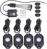 BRITE-LITES LED Rock Light Kit BL-RGBROCK4