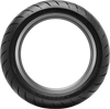 DUNLOP Tire - Roadsmart 4 - 160/60R17 45253302