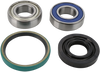 ALL BALLS Chain Case Bearing and Seal Kit 14-1017