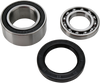 ALL BALLS Chain Case Bearing and Seal Kit 14-1011