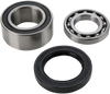 ALL BALLS Chain Case Bearing and Seal Kit 14-1010