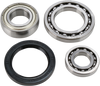 ALL BALLS Chain Case Bearing and Seal Kit 14-1042