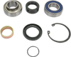 ALL BALLS Chain Case Bearing and Seal Kit 14-1039
