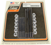 COLONY Bolt Kit Motor Case Big Twin/Evolution 9884-20 COLONY Bolt Kit Motor Case Big Twin/Evolution 9884-20