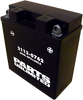 PARTS UNLIMITED AGM Battery - CTX5AL-BS CTX5AL-BS (FA)