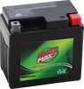 POWER MAX Battery - YTX5L-BS GT5L-BS