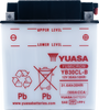 YUASA Battery - YB30CL-B YUAM2230CTWN