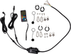 MOOSE RACING Quick Disconnect Whip Light - 2' QD-COBBTR-122-PU
