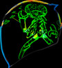  ICON Airflite* Helmet - Bugoid Blitz - Blue - XS 0101-15546 