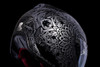  ICON Domain* Helmet - Gravitas - Black - Medium 0101-14960 