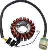 RICK'S MOTORSPORT ELECTRIC Stator - Honda 21-650