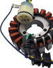  RICK'S MOTORSPORT ELECTRIC Stator - Honda 21-650 