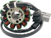 RICK'S MOTORSPORT ELECTRIC Stator - Yamaha 21-430