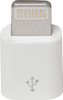  RIDEPOWER Micro USB to Lightning Adapter RPAIADPT 