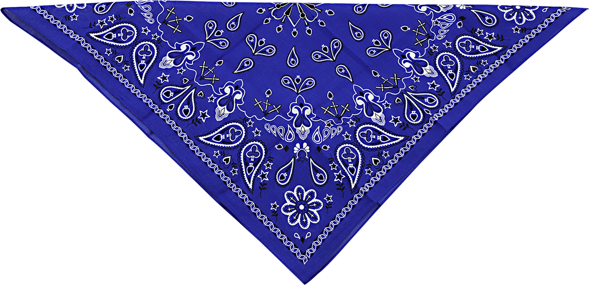 Zan Headgear Paisley Cotton Bandana Navy B002 - J J Motorsports