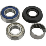 Snowmobile Drive Chain System Parts