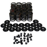 Valve Spring and Retainer Kits