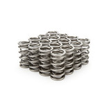 Valve Springs